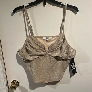 Gold Shimmery Crop Top NWT